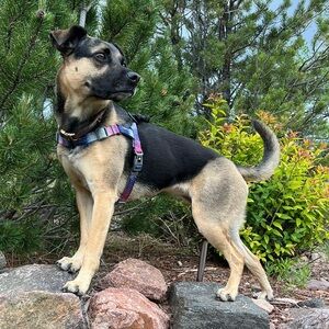 Meet your Posher, Elena